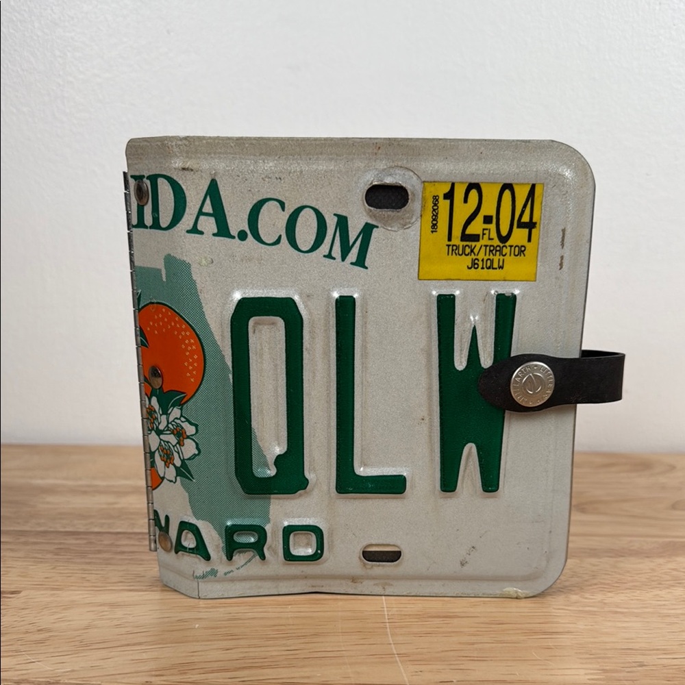 Unique little Earth recycled License Plate CD wallet